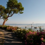 vancouver-home-rental-vacation