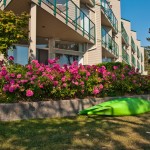vancouver-vacation-condo-rentals